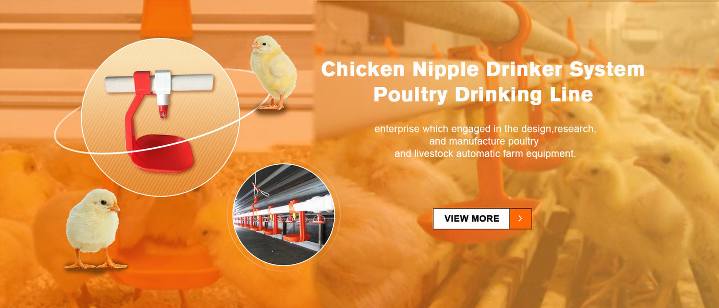 Chine le meilleur Système d&#039;abreuvoir de mamelon de poulet en ventes