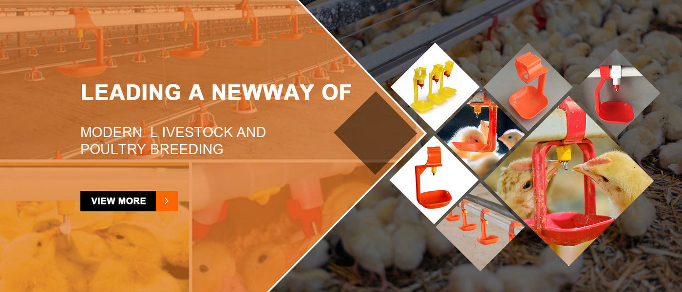 Chine le meilleur Système de alimentation de poulet automatique en ventes
