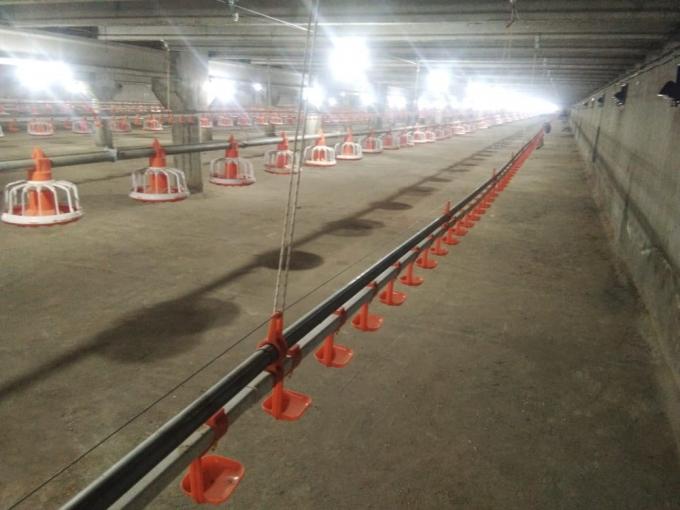 Automatic poultry equipment for farm house ground floor feeding line chicken Feed System