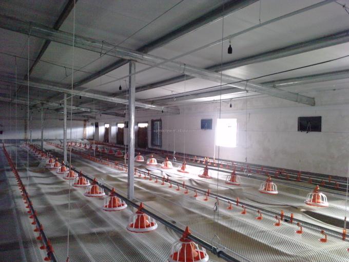 Automatic poultry equipment for farm house ground floor feeding line chicken Feed System