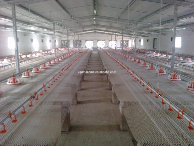 Automatic poultry equipment for farm house ground floor feeding line chicken Feed System