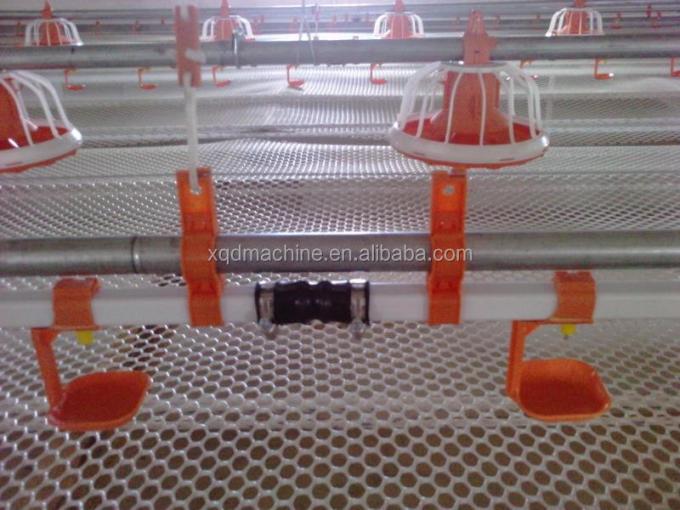 Automatic poultry chicken water for quail birds farm system China price