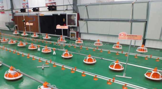 Automatic poultry chicken water for quail birds farm system China price