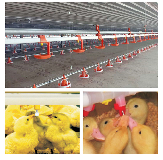 Fournisseur potable 2 de buveur de mamelon de système de poulet automatique de volaille
