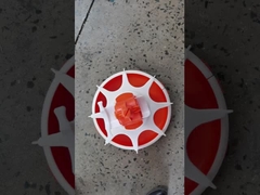 Machine de alimentation automatique pour la ferme de poulet, ligne de alimentation simple, ensemble complet d'équipement de alimentation