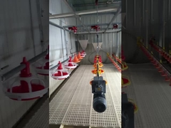 Ligne automatique niveau sonore d'hydratation d'oiseau de mode de contrôle de l'eau de mamelon de l'eau de <50dB