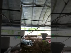 Tension automatique adaptée aux besoins du client d'équipement de conducteur de ferme de poulet réglable