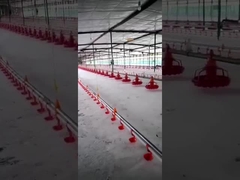 Buveur automatique de Bell de seau de Plasson pour l'équipement de volaille de buveur de volaille