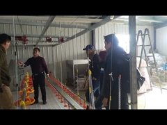 Mamelon Waterer de buveurs de circuit de refroidissement d'eau potable de canards d'oies pour l'agriculture d'élevage de volaille d'oiseau